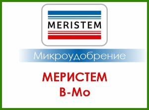 МЕРИСТЕМ B-Mo