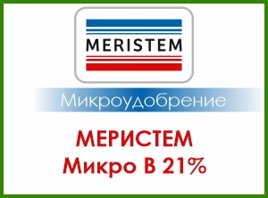 МЕРИСТЕМ МИКРО B 21%