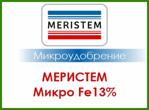 МЕРИСТЕМ МИКРО Fe 13%
