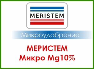 МЕРИСТЕМ МИКРО Mg 10%