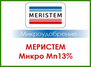 МЕРИСТЕМ МИКРО Mn 13%