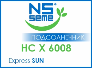 НС Х 6008 (Новый Сад)
